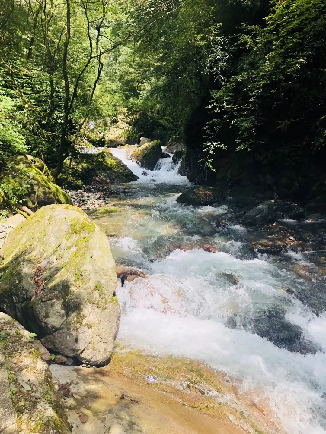 逃出林中村